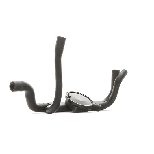 RIDEX 3886V0056 Valve, engine block breather