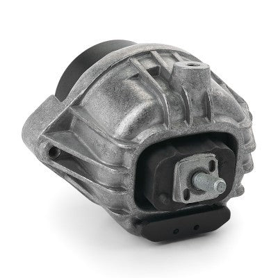 RIDEX 247E0443 Engine mount