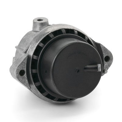 RIDEX 247E0443 Engine mount