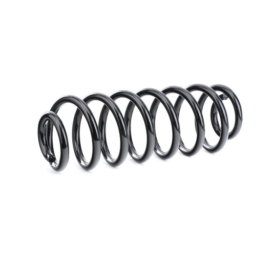 RIDEX 188C0430 Coil Spring for BMW 5 Touring (E39)