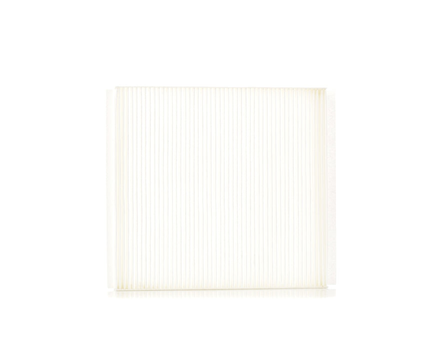 RIDEX 424I0463 Pollen filter