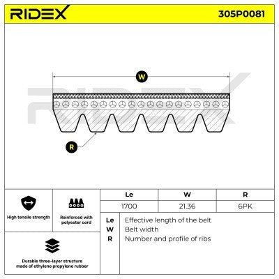 RIDEX 305P0081 V-ribbed belt