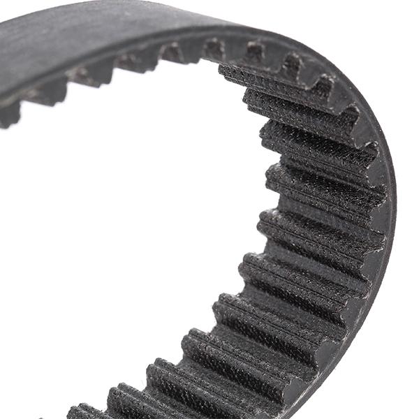 RIDEX 307T0101 Timing belt kit