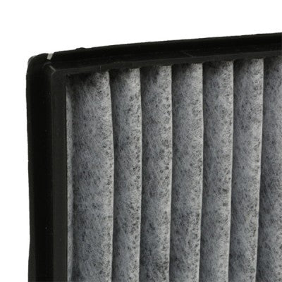 RIDEX 424I0011 Pollen filter - for BMW