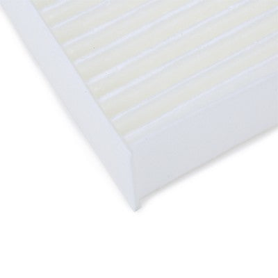 RIDEX 424I0012 Cabin/Pollen Filter for Volkswagen