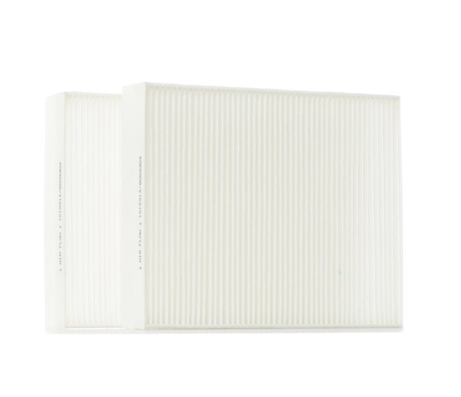 RIDEX 424I0287 Pollen filter