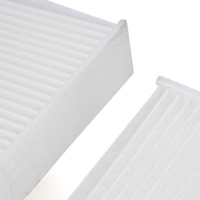 RIDEX 424I0287 Pollen filter