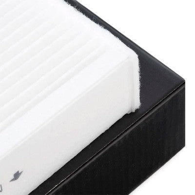 RIDEX 424I0317 Cabin/Pollen Filter for Volkswagen