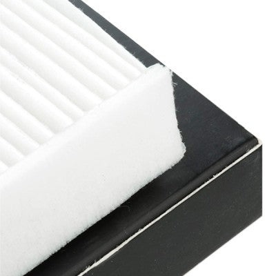 RIDEX 424I0386 Cabin/Pollen Filter for Audi and Volkswagen