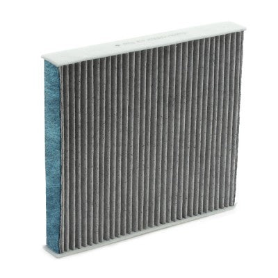 RIDEX 424I0496 Cabin/Pollen Filter for Volkswagen