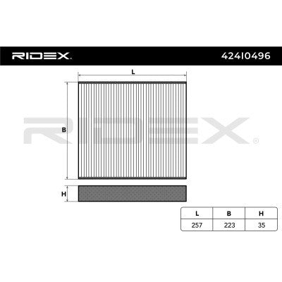 RIDEX 424I0496 Cabin/Pollen Filter for Volkswagen