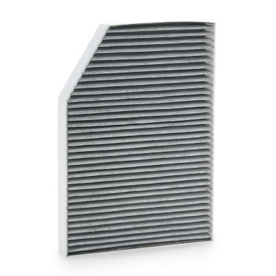 RIDEX 424I0777 Pollen filter
