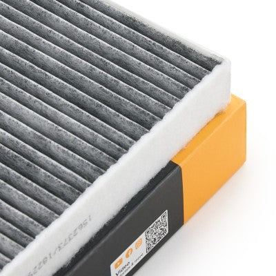 RIDEX 424I0777 Pollen filter