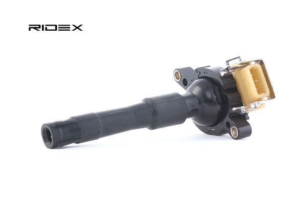 RIDEX 689C0024 Ignition Coil