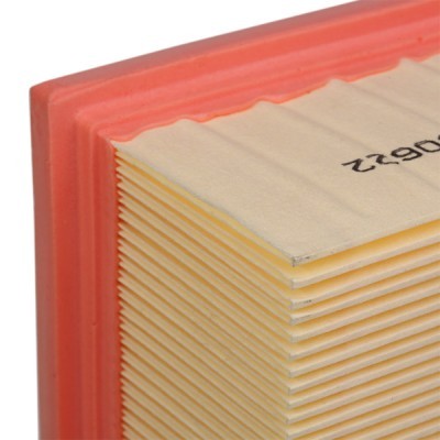 RIDEX 8A0004 Air Filter for Volkswagen
