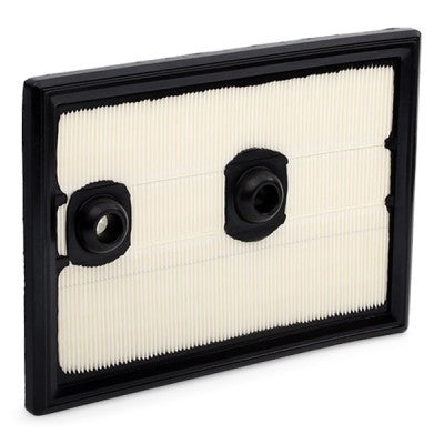 RIDEX 8A0321 Air Filter for Audi and Volkswagen