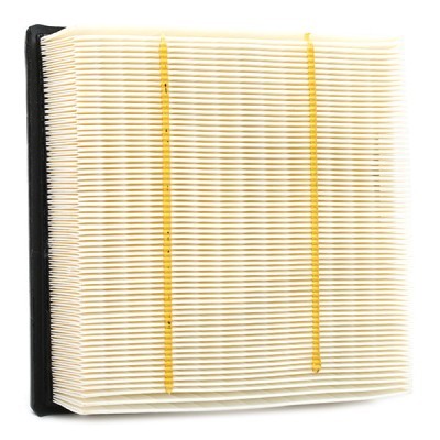 RIDEX 8A0381 Air filter