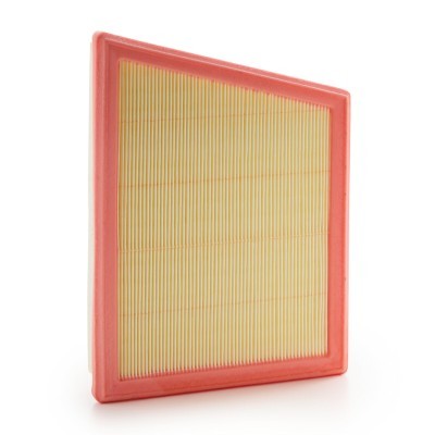 RIDEX 8A0646 Air Filter