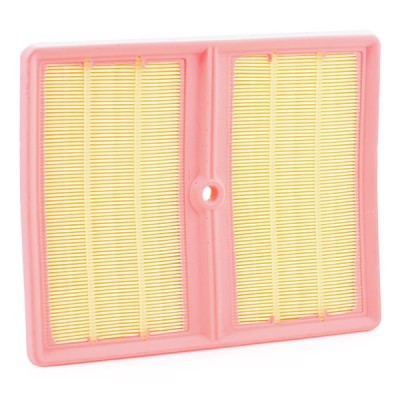 RIDEX 8A0794 Air Filter for Volkswagen