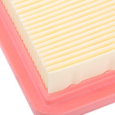 RIDEX 8A0794 Air Filter for Volkswagen