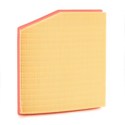 RIDEX 8A0917 Air Filter