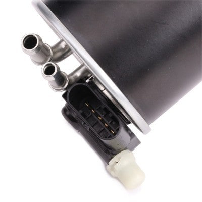 RIDEX 9F0141 Fuel filter
