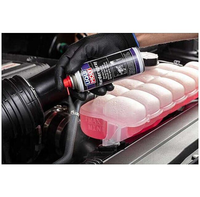 Liqui Moly Marten Spray (Anti-rongeur) - 200ml
