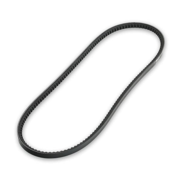 RIDEX 10C0009 V-Belt
