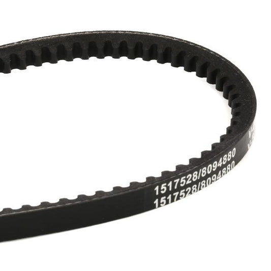 RIDEX 10C0008 V-Belt
