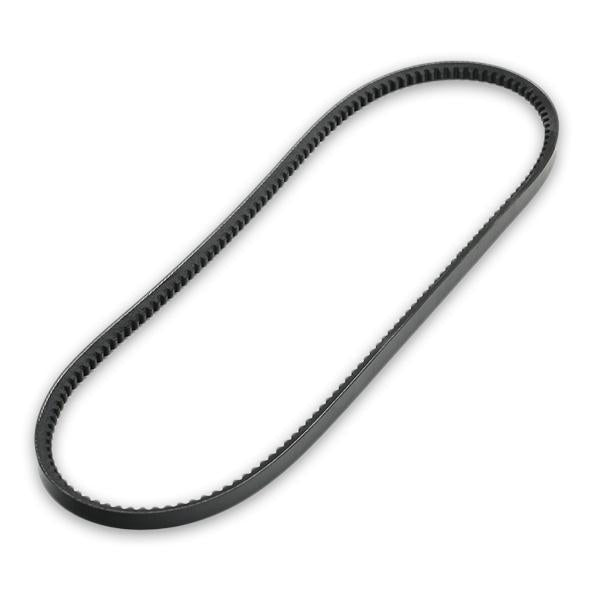 RIDEX 10C0010 V-Belt