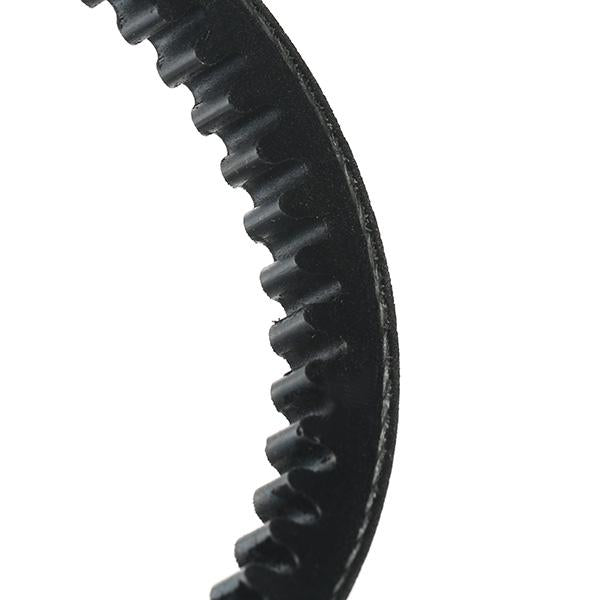 RIDEX 10C0010 V-Belt