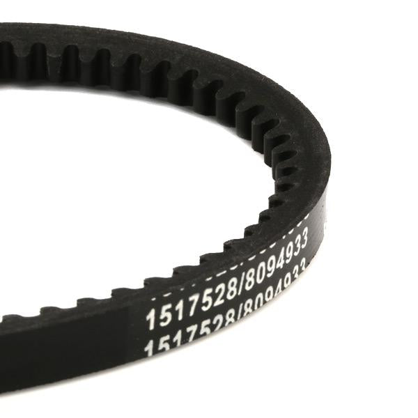 RIDEX 10C0010 V-Belt
