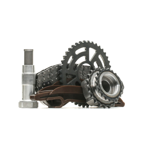 RIDEX 1389T0143 Timing Chain Kit