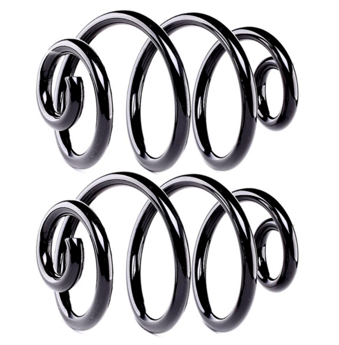 RIDEX 188C1979 Coil Spring for BMW 3 Series