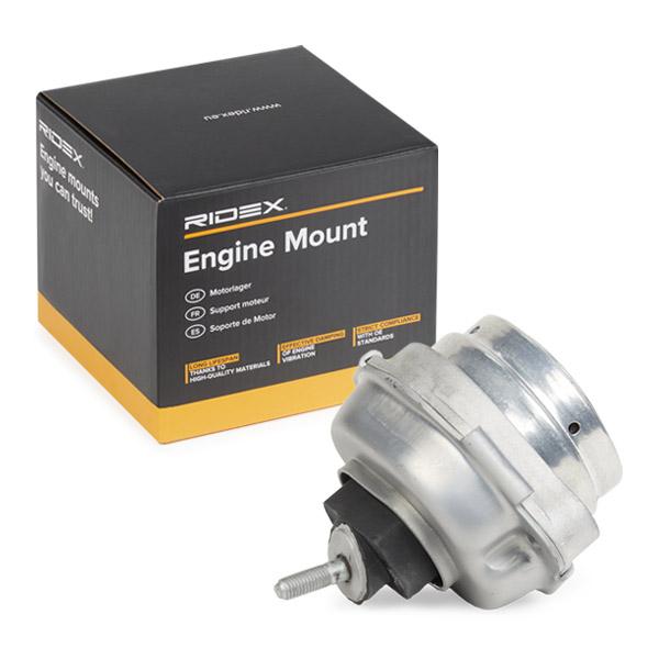 RIDEX 247E0401 Engine mount