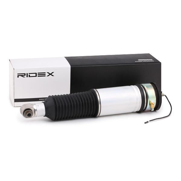 RIDEX 4118A0010 Air suspension strut for BMW 7 (E65, E66, E67)