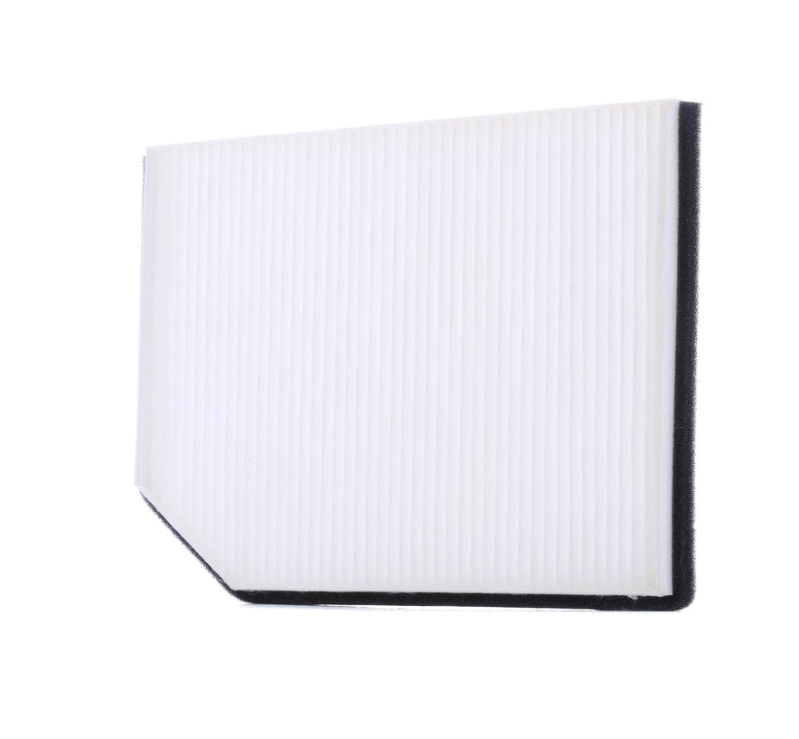 RIDEX 424I0138 Pollen filter