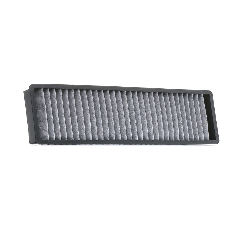 RIDEX 424I0243 Pollen filter