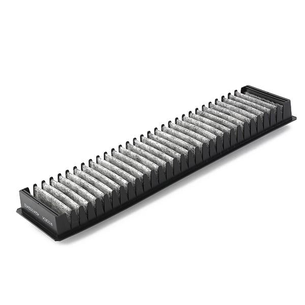 RIDEX 424I0243 Pollen filter