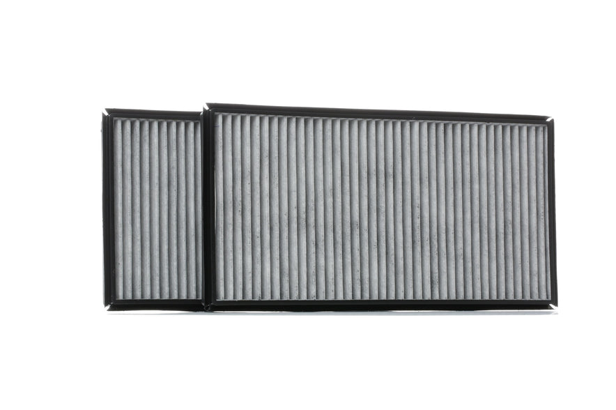 RIDEX 424I0278 Pollen filter