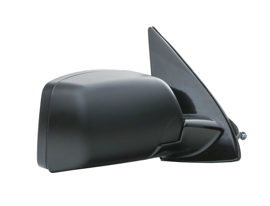 RIDEX 50O0494 Wing mirror for BMW X5 (E53)