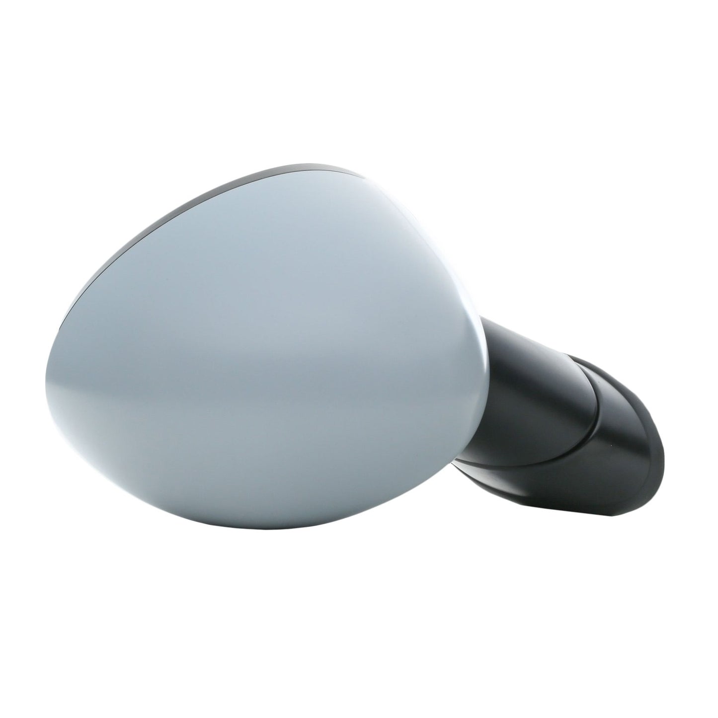 RIDEX 50O0542 Wing mirror