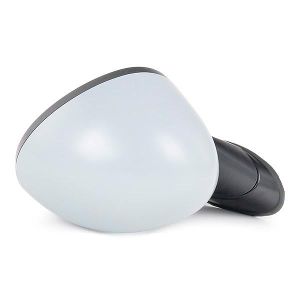 RIDEX 50O0542 Wing mirror