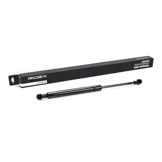 RIDEX 514G0013 Bonnet strut for E60