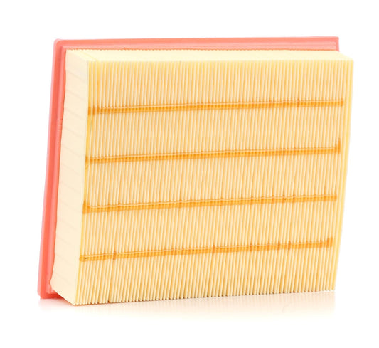 RIDEX 8A0002 Air Filter