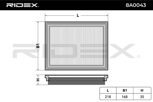 RIDEX 8A0043 Air Filter