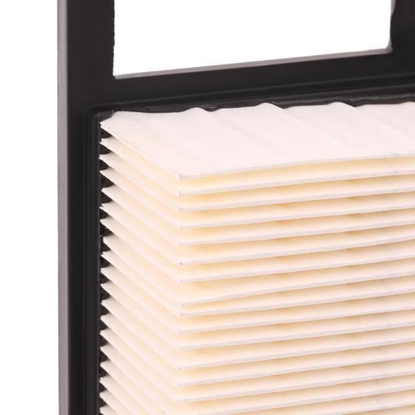 RIDEX 8A0176 Air Filter