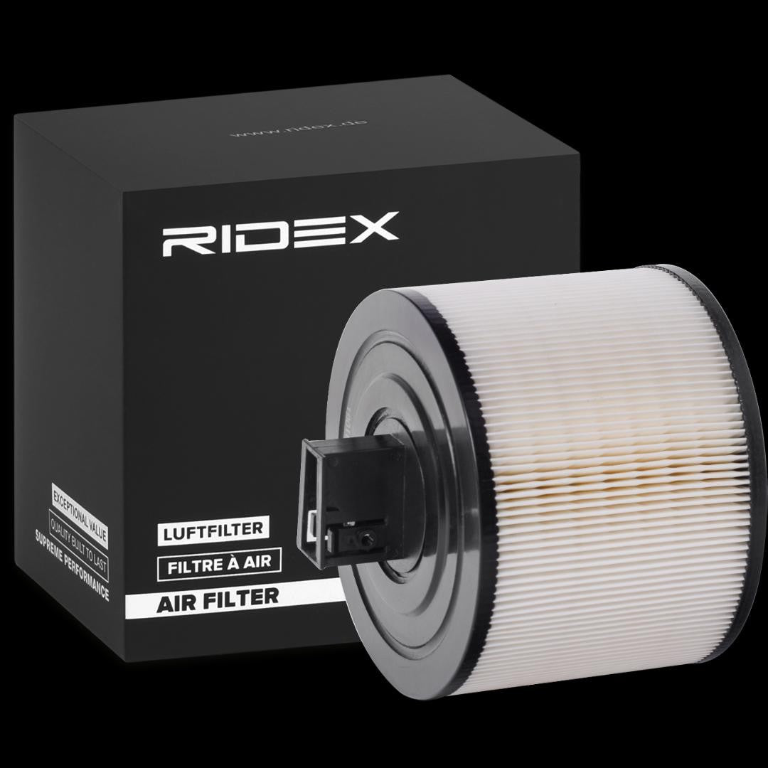 RIDEX 8A0213 Air filter - for BMW