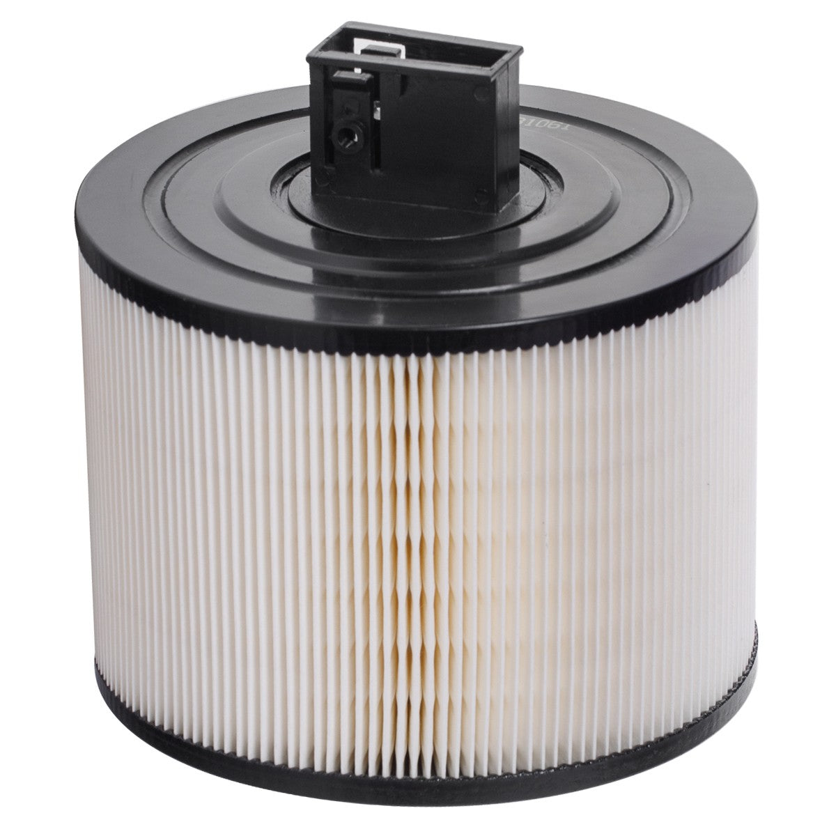 RIDEX 8A0213 Air filter - for BMW