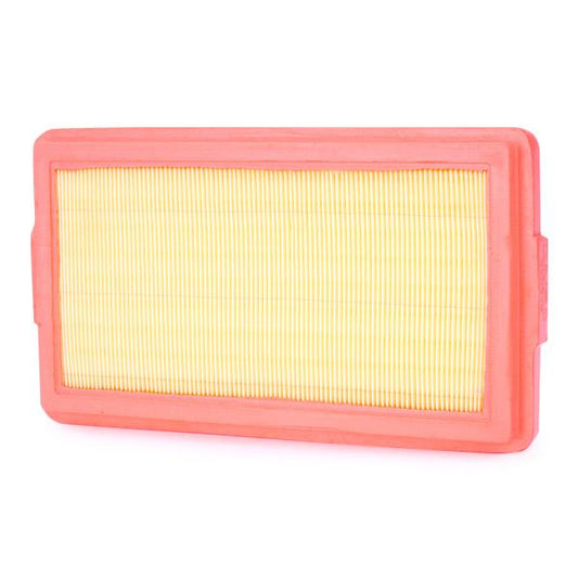 RIDEX 8A0379 Air Filter